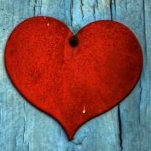 Meet your Posher, Sandy